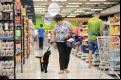 Zuma, vestindo o colete de cão-guia em socialização, junto com Sidneia, no supermercado.  - Erick Pinheiro