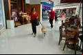 Durante a socialização Senna pode visitar shoppings com a socializadora Vera Lúcia.  - Emídio Marques