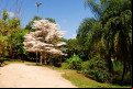 Parque da Água Vermelha - Divulgação/SECOM Sorocaba