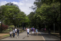 Parque Ibirapuera - Divulgação/ Ibirapuera