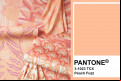 Peach fuzz - a cor de 2024  - Reprodução/Divulgação/Pantone