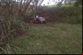 Carro de Michele foi encontrado queimado na Castello Branco, em Sorocaba; havia um corpo no veículo  - Divulgação/Artesp